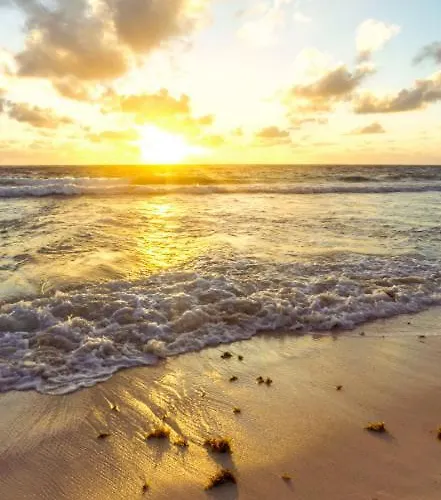Beachfront In *